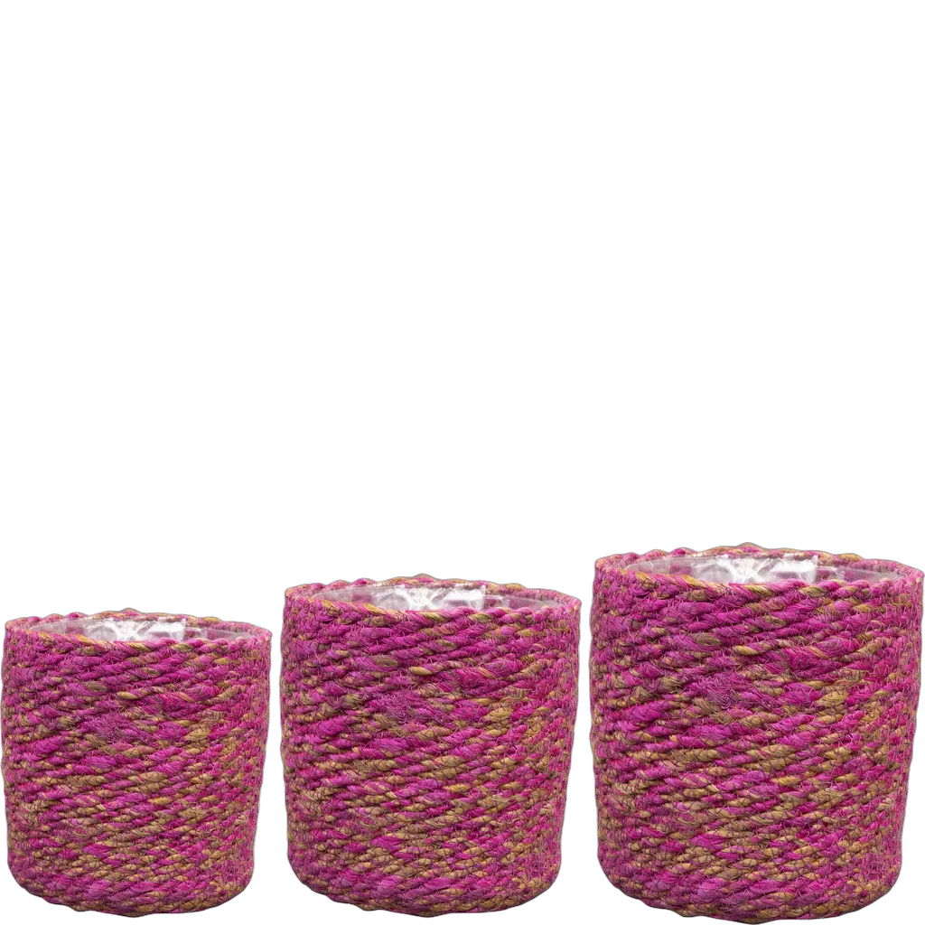 10612 - Afbeelding 2